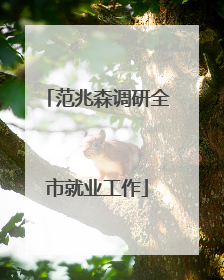 范兆森调研全市就业工作