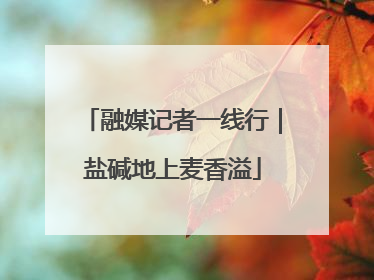 融媒记者一线行｜盐碱地上麦香溢