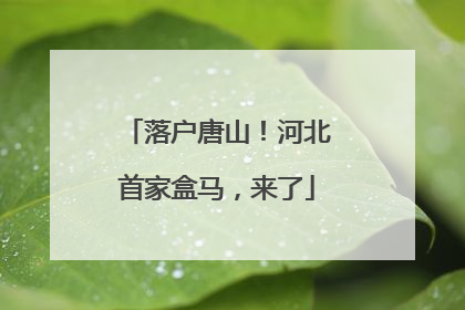 落户唐山！河北首家盒马，来了