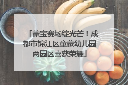 蒙宝赛场绽光芒！成都市锦江区童蒙幼儿园两园区喜获荣耀
