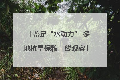 蓄足“水动力” 多地抗旱保粮一线观察