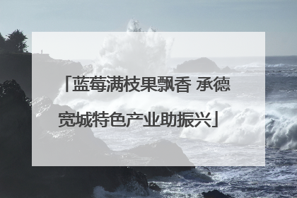 蓝莓满枝果飘香 承德宽城特色产业助振兴