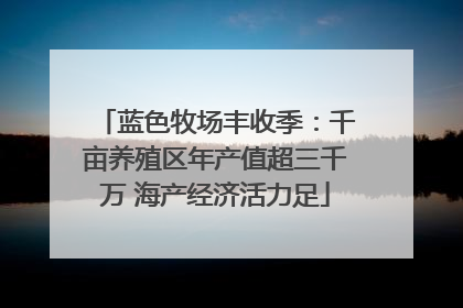 蓝色牧场丰收季：千亩养殖区年产值超三千万 海产经济活力足
