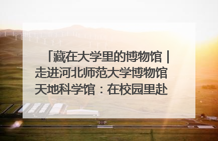 藏在大学里的博物馆｜走进河北师范大学博物馆天地科学馆：在校园里赴一场“宇宙之约”