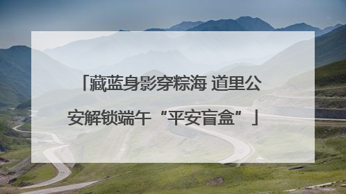 藏蓝身影穿粽海 道里公安解锁端午“平安盲盒”