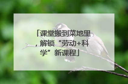 课堂搬到菜地里，解锁“劳动+科学”新课程