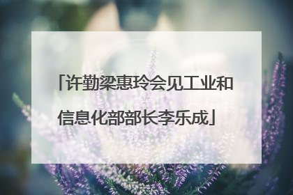 许勤梁惠玲会见工业和信息化部部长李乐成