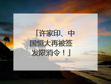 许家印、中国恒大再被签发限消令！
