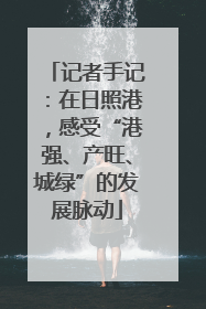 记者手记：在日照港，感受“港强、产旺、城绿”的发展脉动