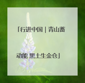 行进中国｜青山蓄动能 黑土生金仓