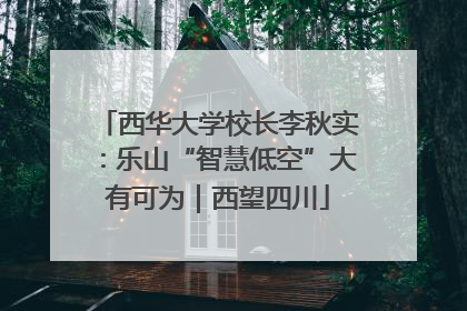 西华大学校长李秋实：乐山“智慧低空”大有可为｜西望四川