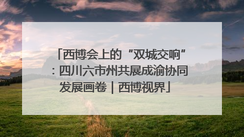 西博会上的“双城交响”：四川六市州共展成渝协同发展画卷｜西博视界