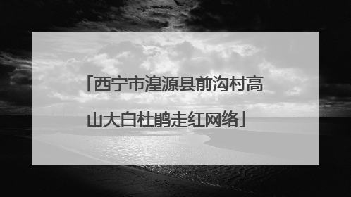 西宁市湟源县前沟村高山大白杜鹃走红网络
