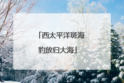 西太平洋斑海豹放归大海