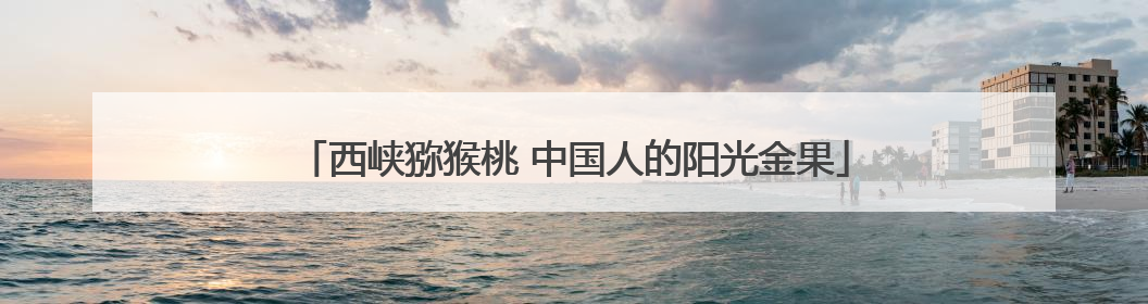 西峡猕猴桃 中国人的阳光金果