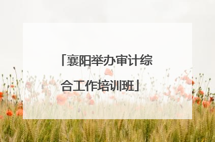 襄阳举办审计综合工作培训班