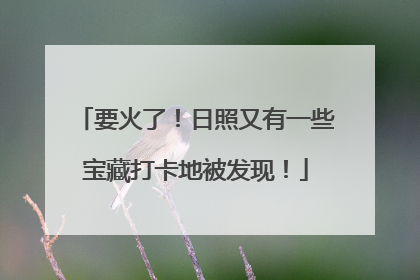 要火了！日照又有一些宝藏打卡地被发现！