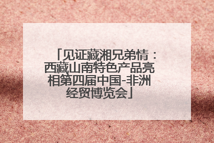 见证藏湘兄弟情：西藏山南特色产品亮相第四届中国-非洲经贸博览会