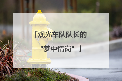 观光车队队长的“梦中情岗”