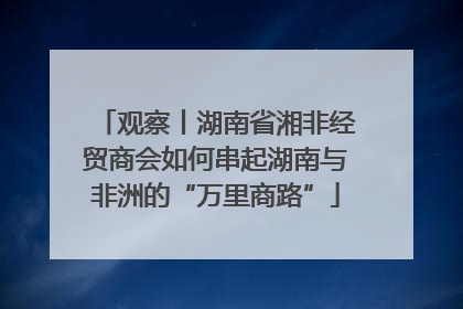 观察丨湖南省湘非经贸商会如何串起湖南与非洲的“万里商路”
