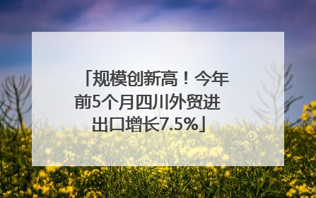 规模创新高！今年前5个月四川外贸进出口增长7.5%
