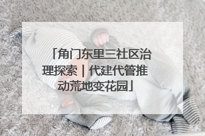 角门东里三社区治理探索｜代建代管推动荒地变花园