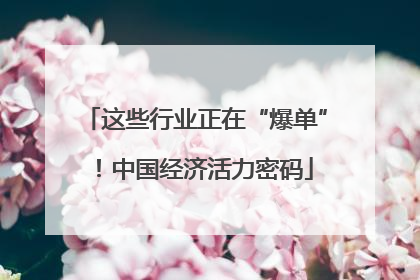 这些行业正在“爆单”！中国经济活力密码