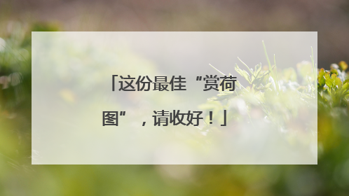 这份最佳“赏荷图”，请收好！