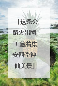 这条公路火出圈！藏着集安四季神仙美景