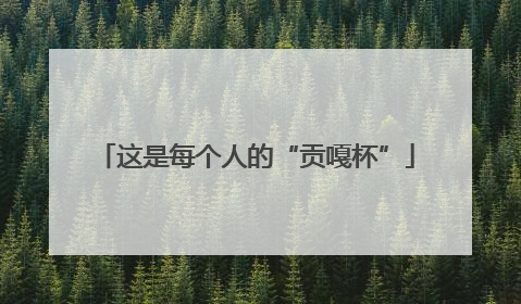 这是每个人的“贡嘎杯”