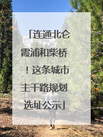 连通北仑霞浦和柴桥！这条城市主干路规划选址公示