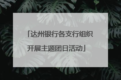达州银行各支行组织开展主题团日活动