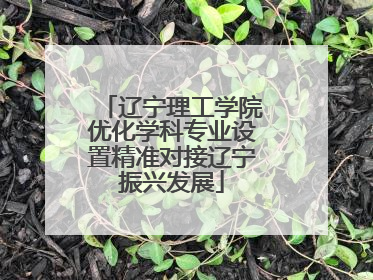 辽宁理工学院优化学科专业设置精准对接辽宁振兴发展