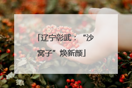 辽宁彰武：“沙窝子”焕新颜