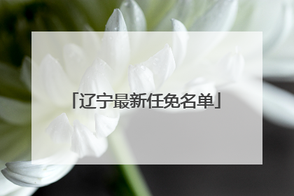 辽宁最新任免名单
