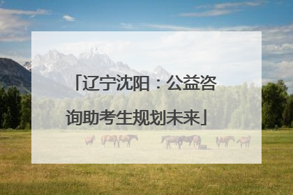辽宁沈阳：公益咨询助考生规划未来