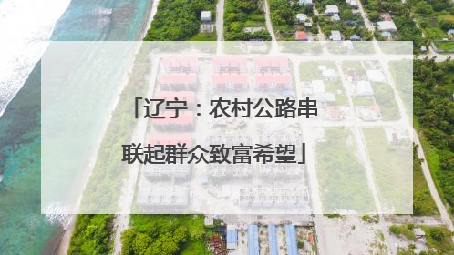 辽宁：农村公路串联起群众致富希望