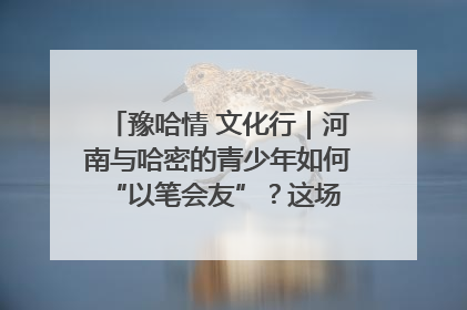 豫哈情 文化行｜河南与哈密的青少年如何 “以笔会友”？这场书画展藏着答案