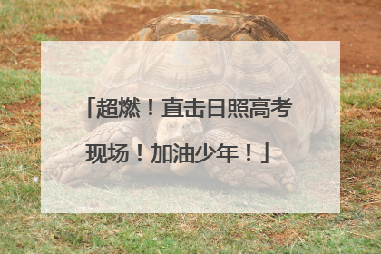 超燃！直击日照高考现场！加油少年！