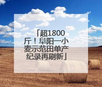 超1800斤！阜阳一小麦示范田单产纪录再刷新