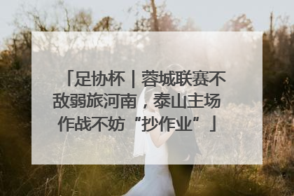 足协杯｜蓉城联赛不敌弱旅河南，泰山主场作战不妨“抄作业”