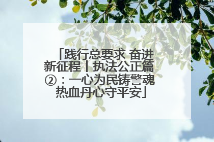 践行总要求 奋进新征程丨执法公正篇②：一心为民铸警魂 热血丹心守平安