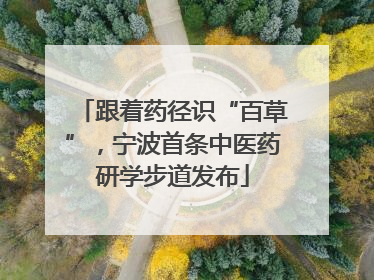 跟着药径识“百草”，宁波首条中医药研学步道发布