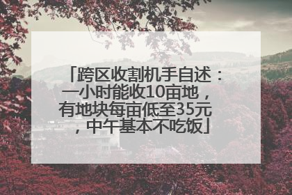 跨区收割机手自述：一小时能收10亩地，有地块每亩低至35元，中午基本不吃饭