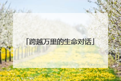 跨越万里的生命对话
