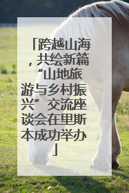 跨越山海，共绘新篇 “山地旅游与乡村振兴”交流座谈会在里斯本成功举办