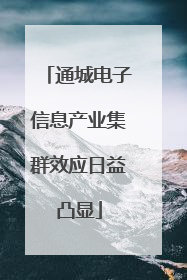通城电子信息产业集群效应日益凸显