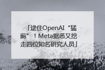 逮住OpenAI“猛薅”！Meta据悉又挖走四位知名研究人员