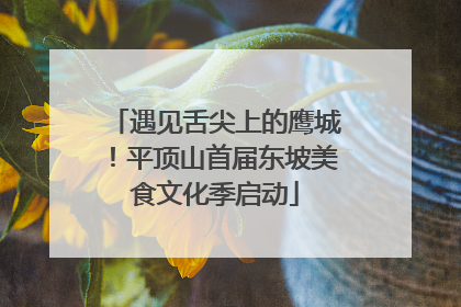 遇见舌尖上的鹰城！平顶山首届东坡美食文化季启动