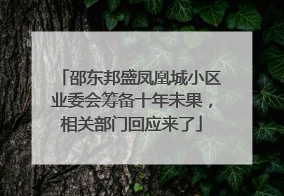 邵东邦盛凤凰城小区业委会筹备十年未果，相关部门回应来了
